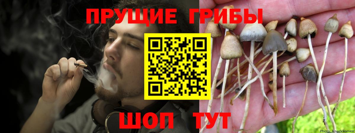Псилоцибиновые грибы мухоморы  Вход с VPN  Коломна 